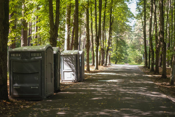 Best Luxury portable toilet rental  in Greene, IA